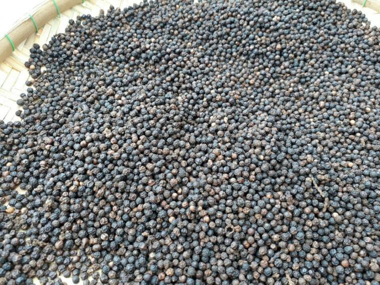 Black pepper and white pepper for sale