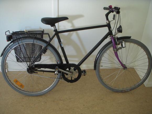 Adult Crescent Bicycle