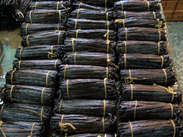 Vanilla beans for sale
